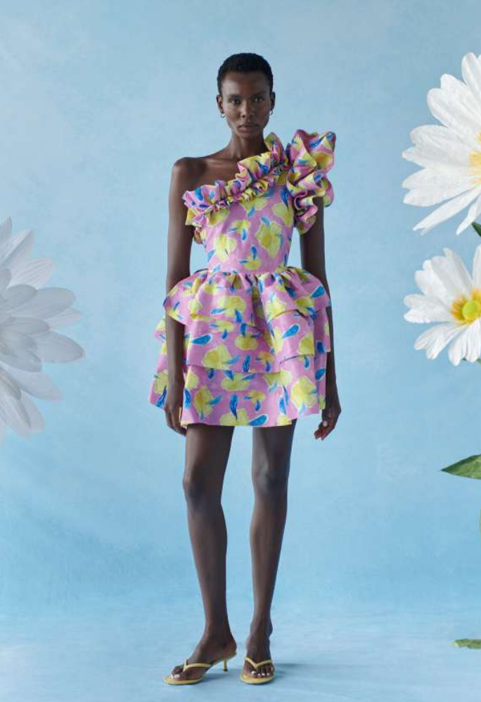 Celia B - Baltic Floral Dress Orchid