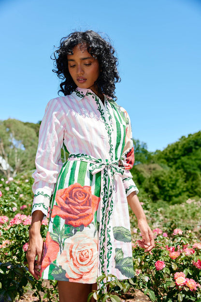 Aston Studio - Demi Dress Leaf Rose Multi