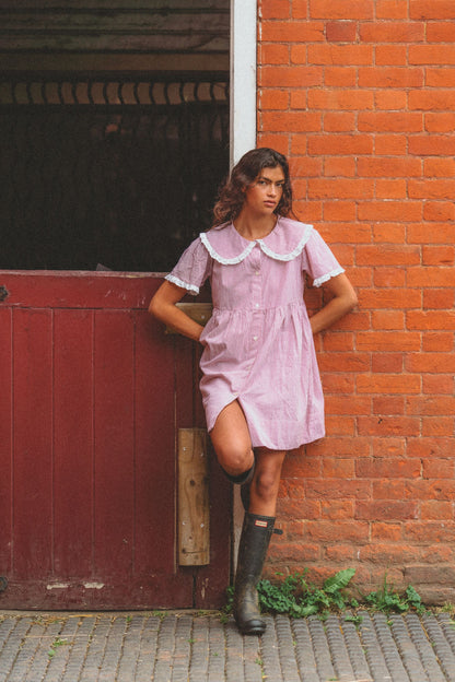 Oak Meadow - Inka Mini Dress in Cottage Red Stripe