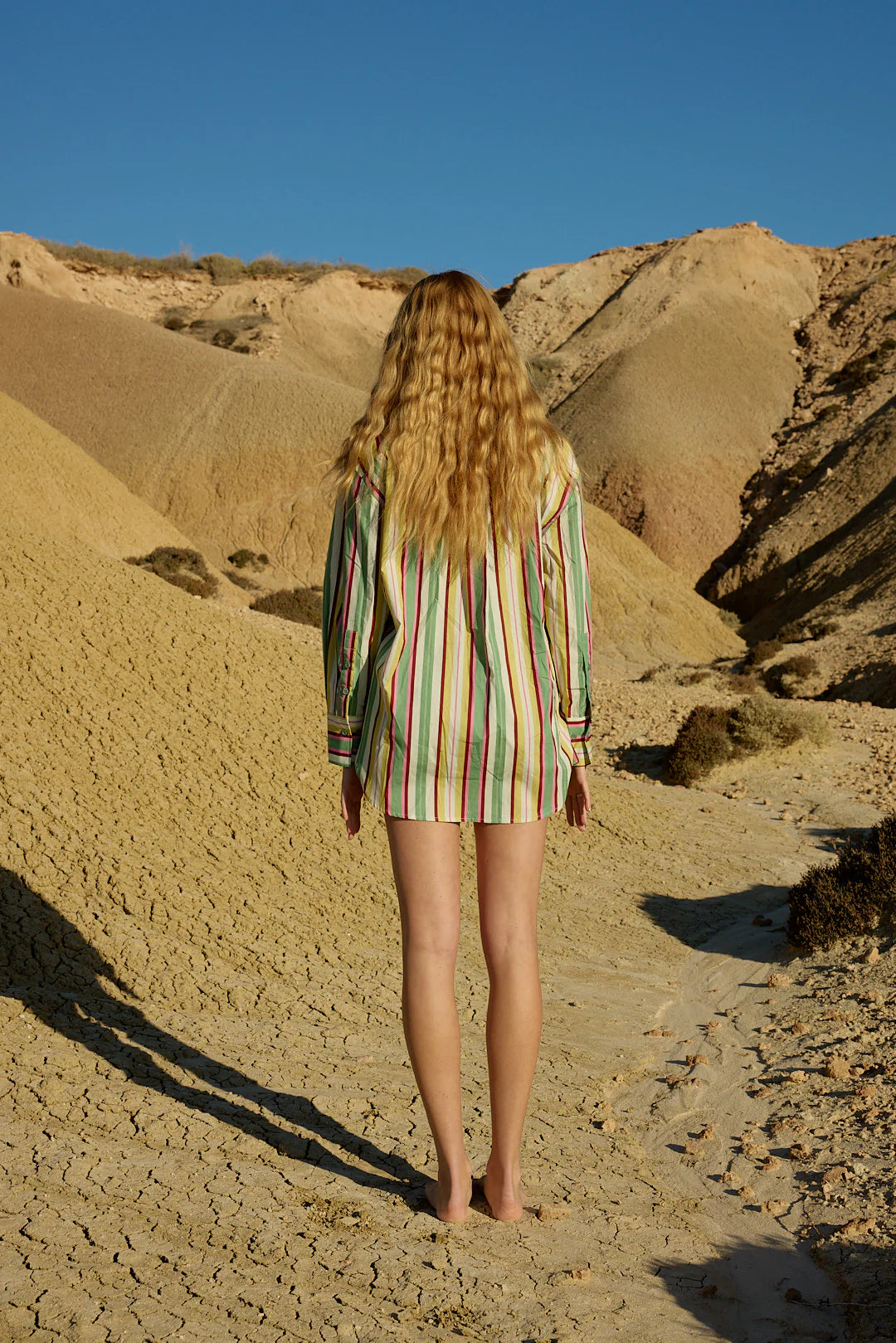 Aston Studio - Buddy Shirt Meadow Stripe