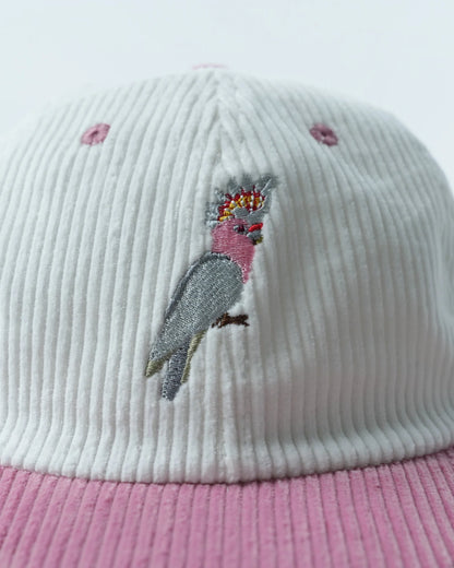 Lies Collective - Pink Cockatoo Lid