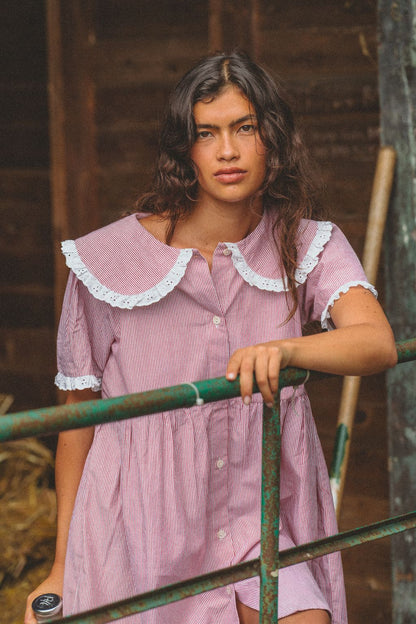 Oak Meadow - Inka Mini Dress in Cottage Red Stripe